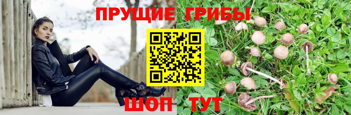 даркнет сайт  Галлюциногенные грибы ЛСД  Петропавловск-Камчатский  Вход с VPN  Псилоцибиновые грибы мицелий 
